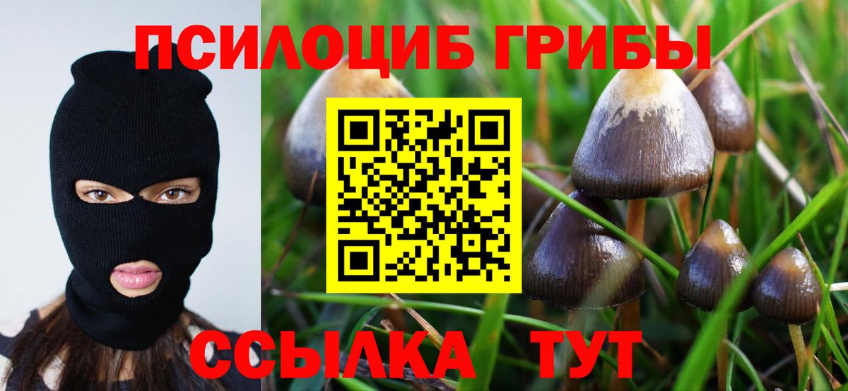 Галлюциногенные грибы GOLDEN TEACHER  Псилоцибиновые грибы мицелий  Сургут  Вход с VPN 